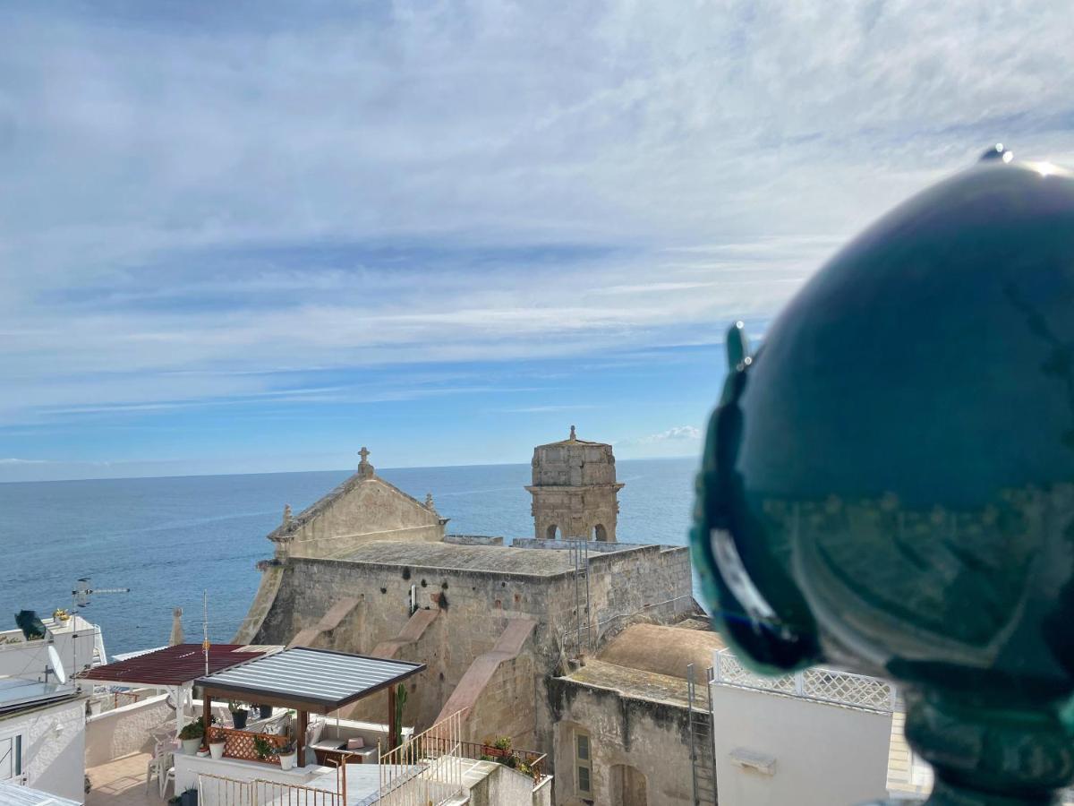 Terrazza Mediterranea - Puglia Mia Apartments モノーポリ エクステリア 写真